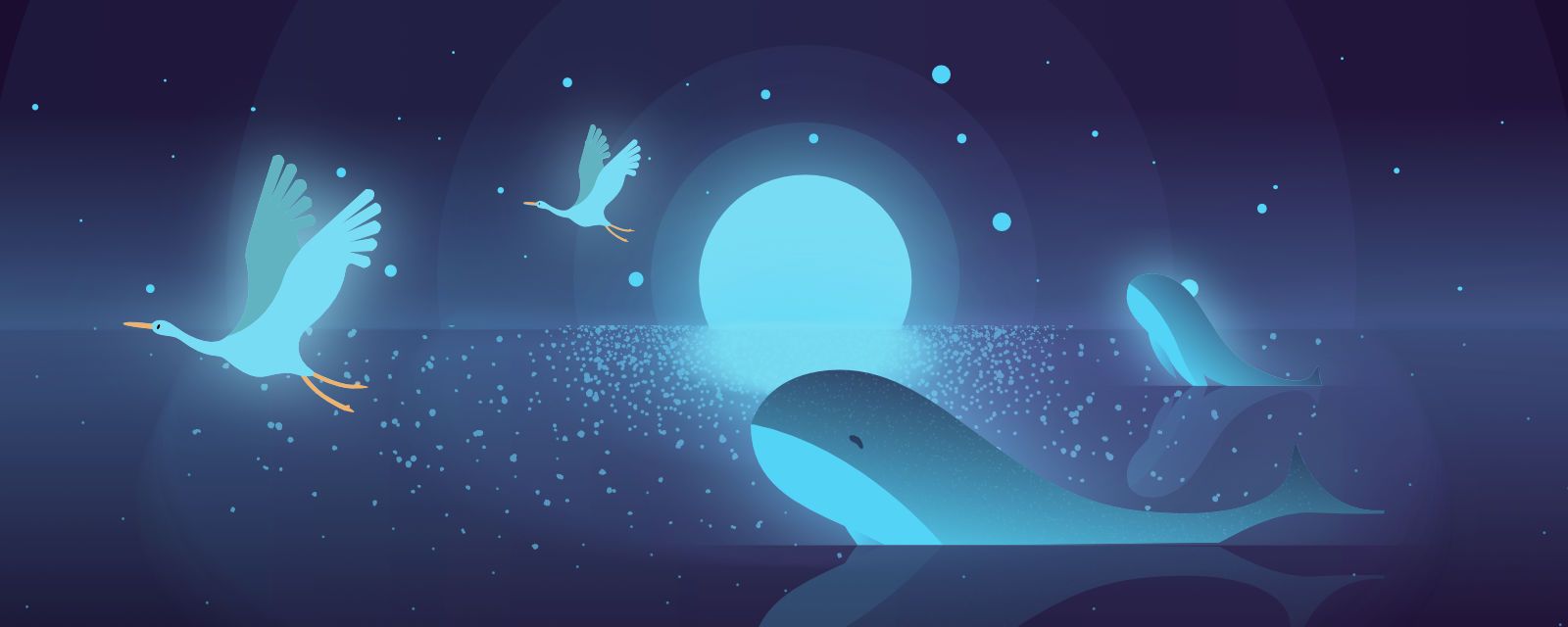 Peaceful night-time ocean scene with whales and birds